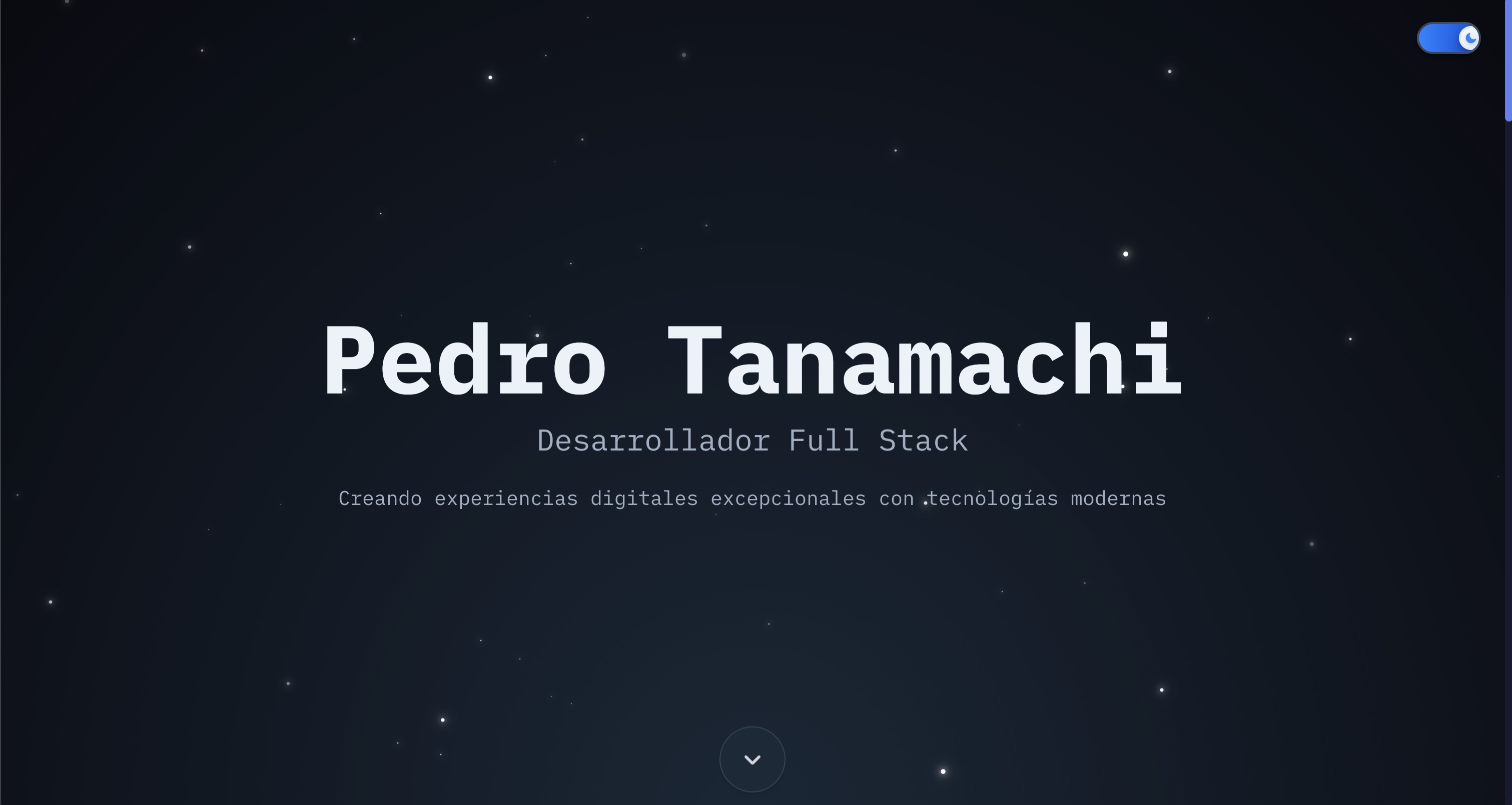 Vista previa del Portafolio